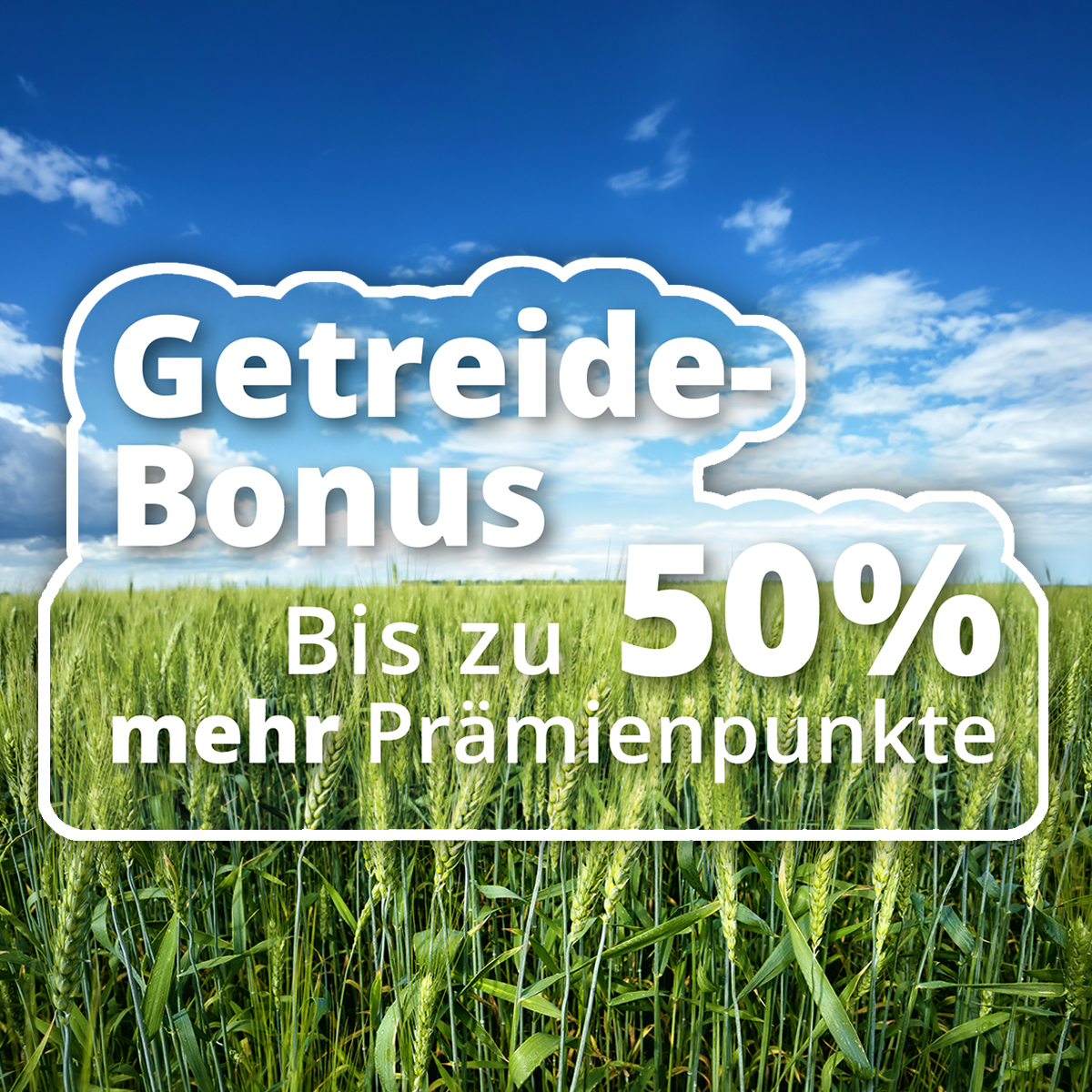 Mit Syngenta Produkten <span class="accent">erfolgreich Getreide anbauen.</span>